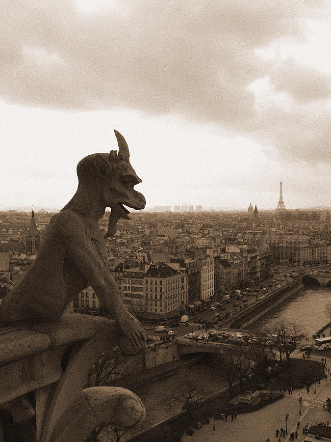 Notre Dame Gargoyle Over Paris Photograph by Mark Currier