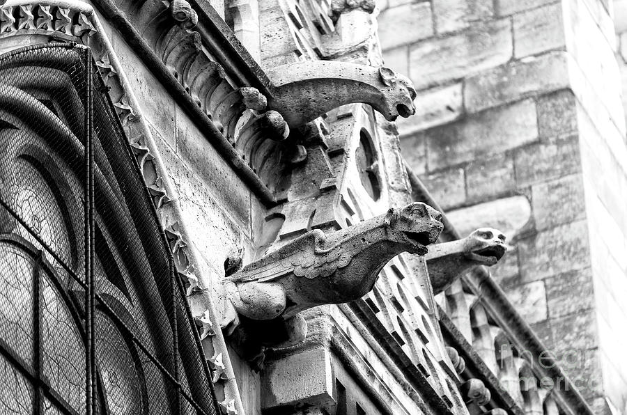 download gargoyle protection