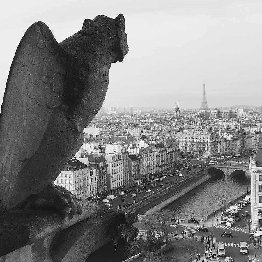 Paris Photograph - Notre Dame Gargoyle by Victoria Lakes