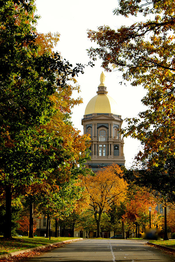 Notre Dame Photograph by Gretchen Garbett - Fine Art America