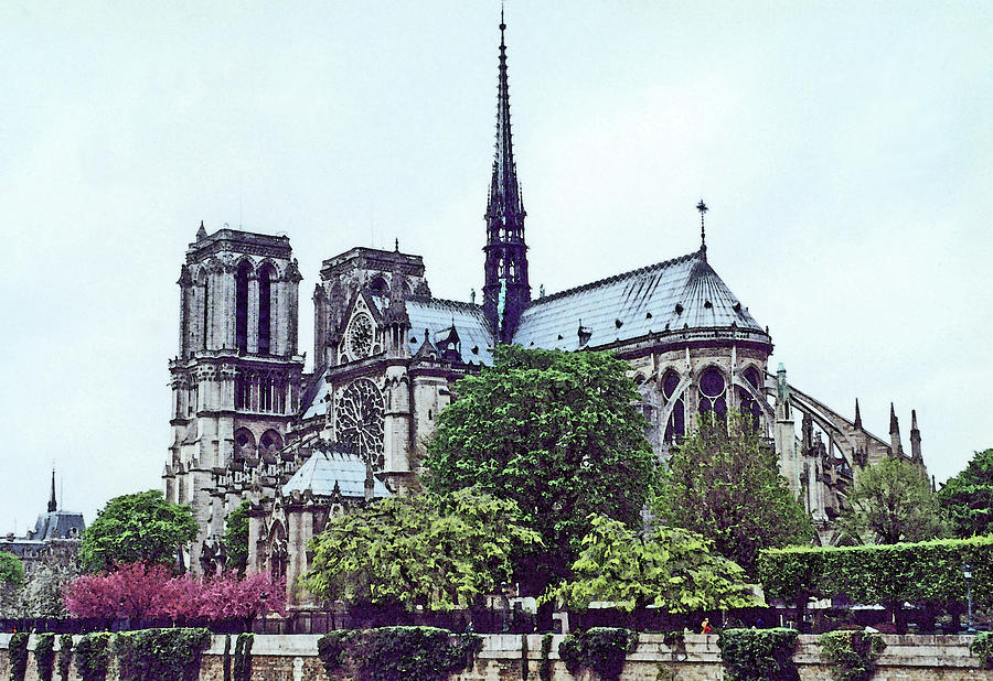 Notre Dame Photograph by Mary Bedy