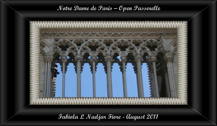 Notre Dame Open Passerelle #2 Photograph by Fabiola L Nadjar Fiore