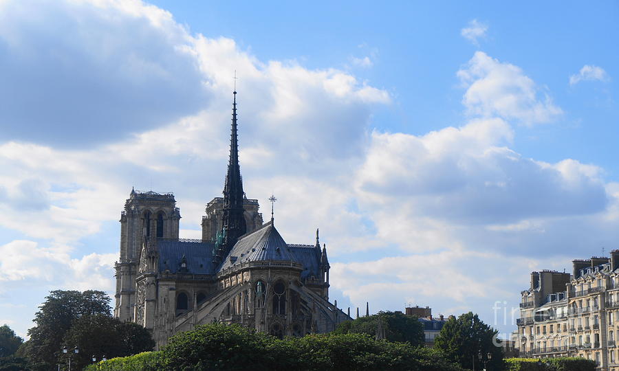 Notre Dame Paris Photograph by Therese Alcorn