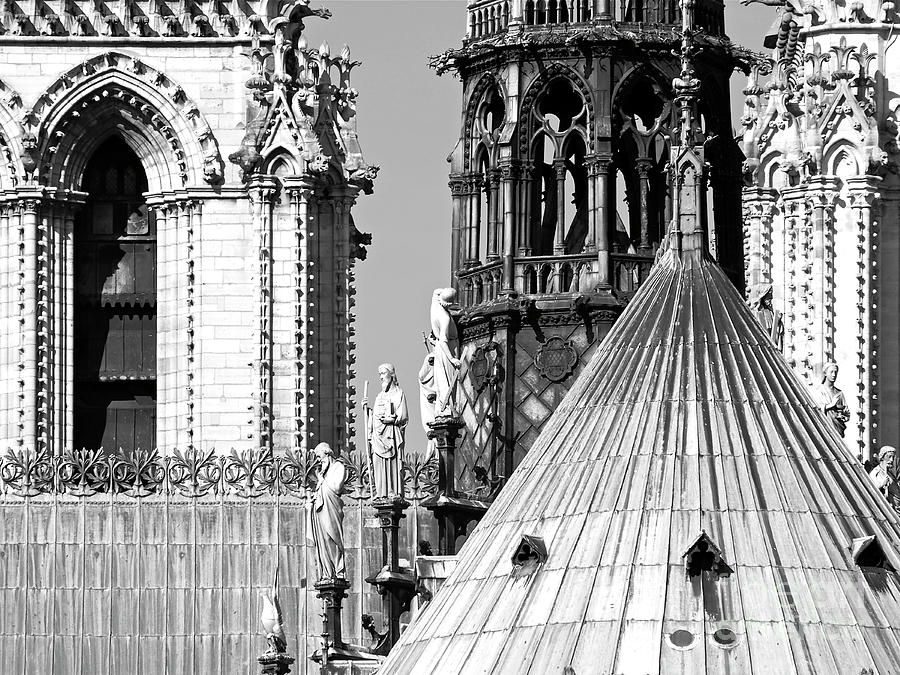 Notre Dame Roofscape Photograph