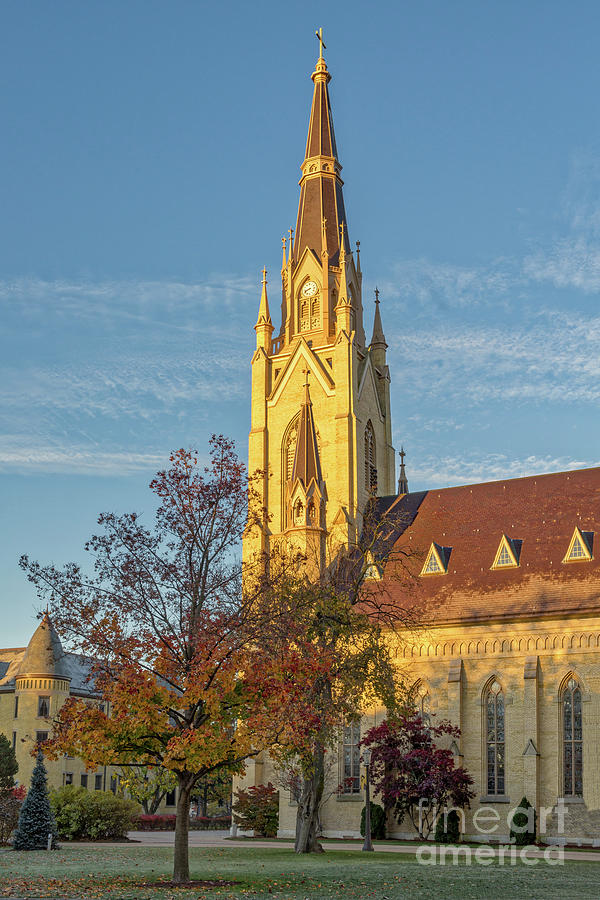 Notre Dame University Basilica Of The Sacred Heart Photograph