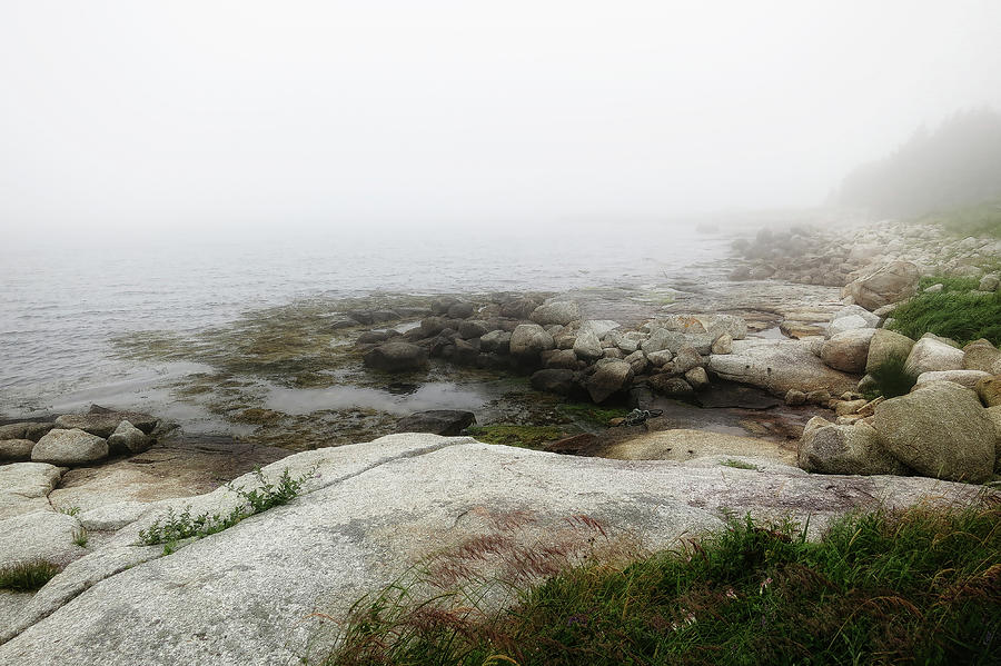 Nova Scotia fog Photograph by Tatiana Travelways