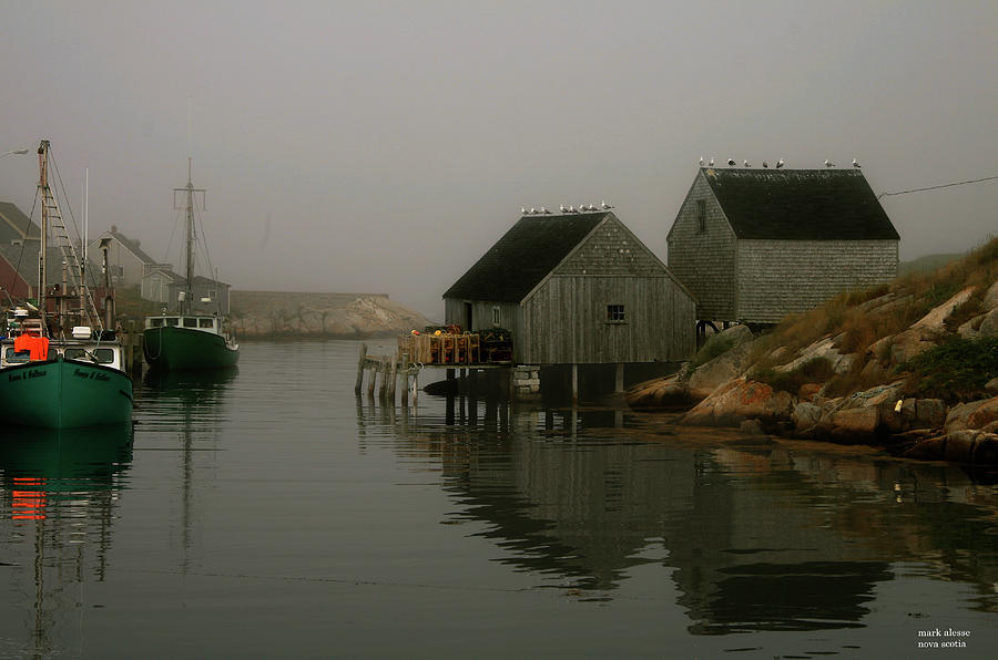 Nova Scotia harbor Photograph by Mark Alesse