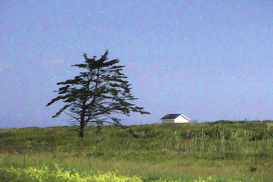 Nova Scotia Landscape Digital Art