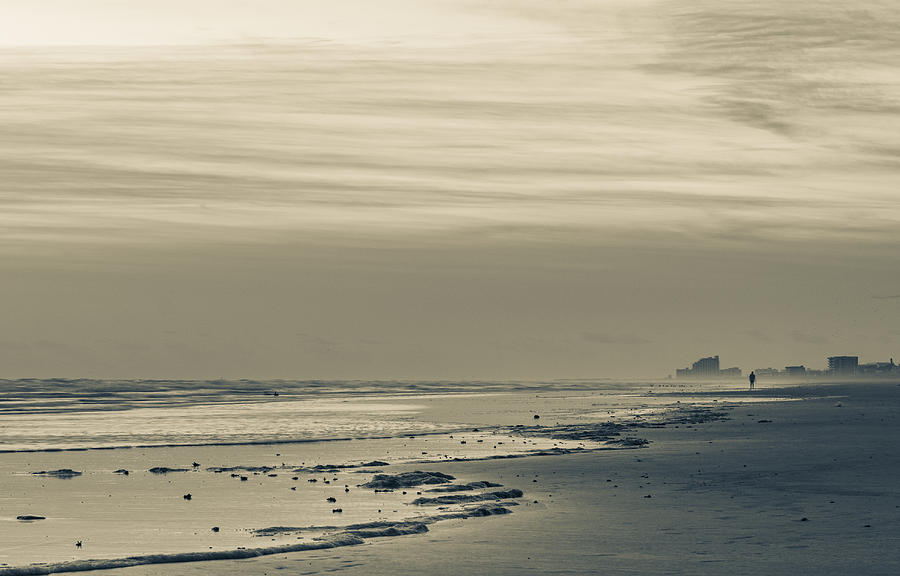 Nature Photograph - November Beach Morning by Edie Ann Mendenhall
