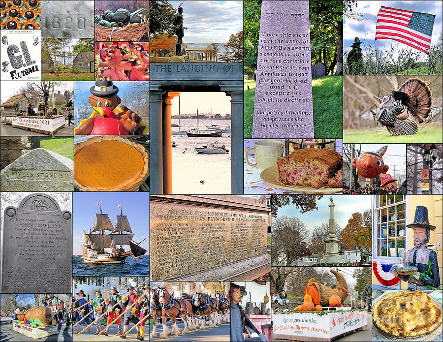 November Collage Photograph by Janice Drew
