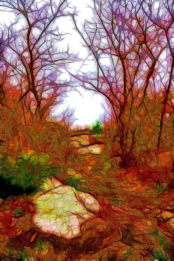 Tree Digital Art - November fantasy by Lilia S
