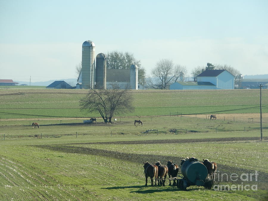 November Farming Photograph by Christine Clark