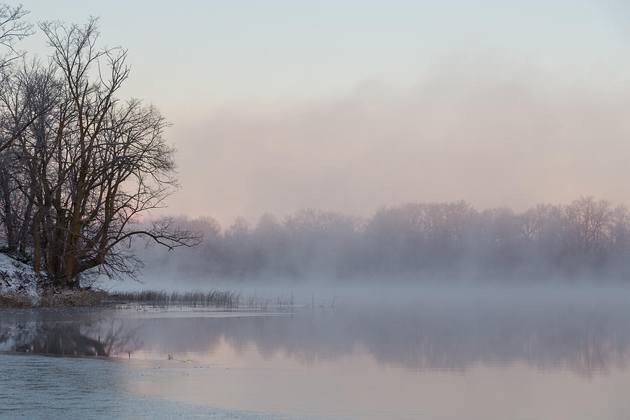 November Fog Photograph by Penny Meyers