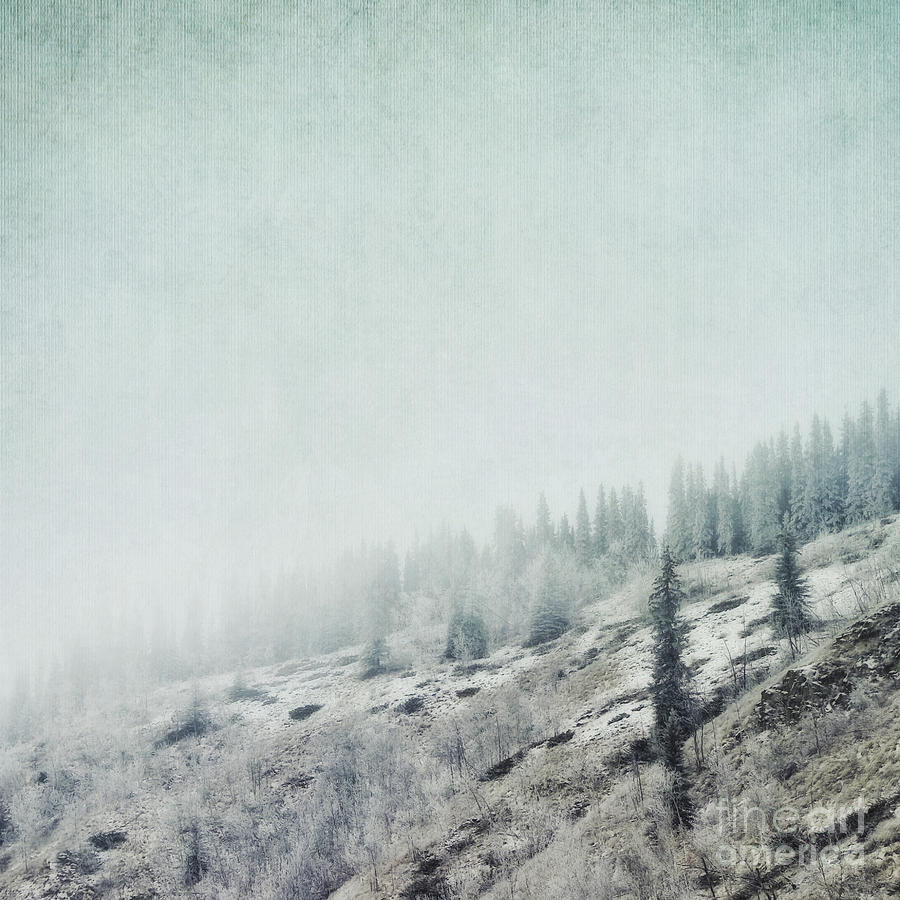 November Fog Photograph by Priska Wettstein