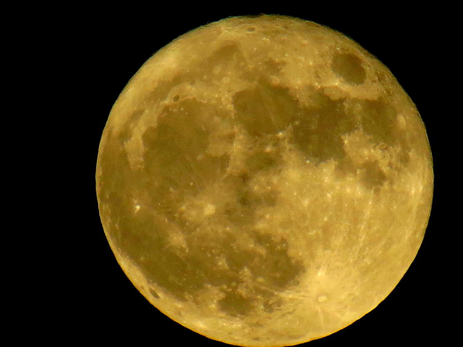 November Full Moon Photograph by Eric Switzer Pixels