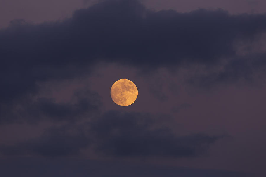 November Photograph - November Full Moon with Plane by Angela Stanton