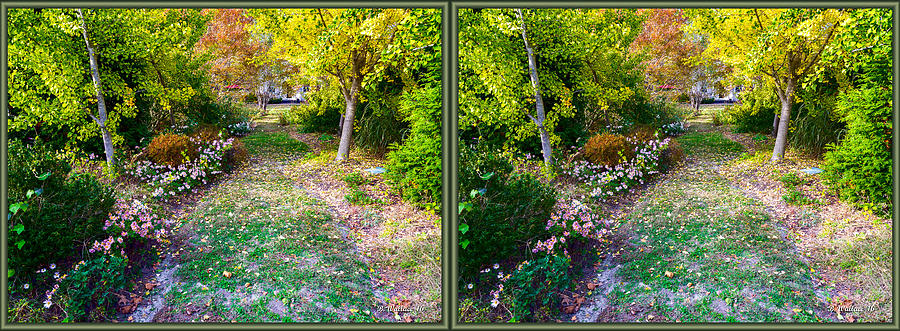 November Garden Path - 3D Stereo X-View Photograph by Brian Wallace