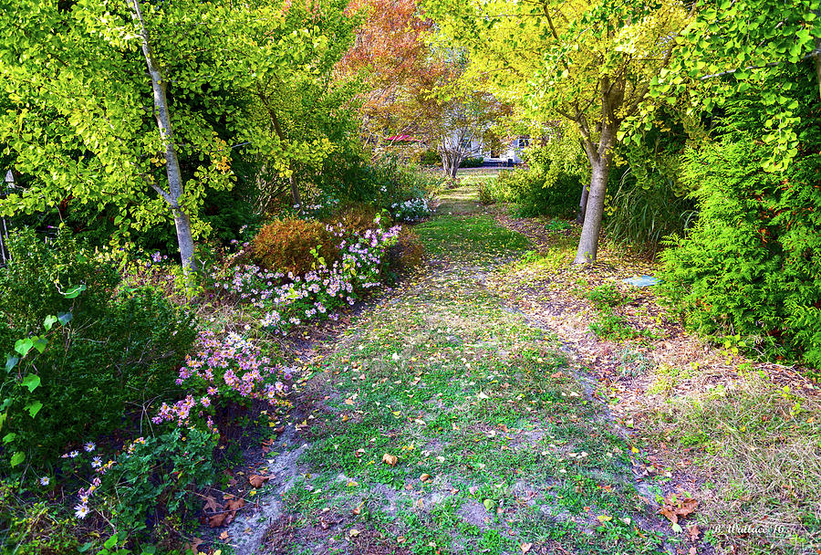 November Garden Path Photograph by Brian Wallace