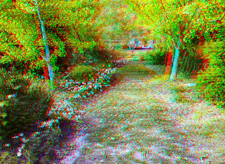 November Garden Path - Use Red-Cyan 3D Glasses Photograph by Brian Wallace