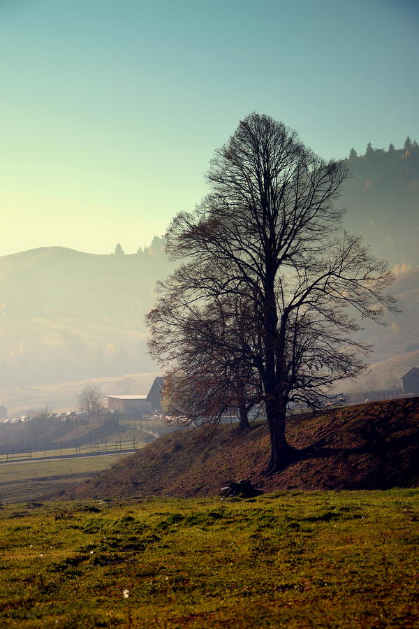 November Landscape Photograph by Camelia C - Fine Art America