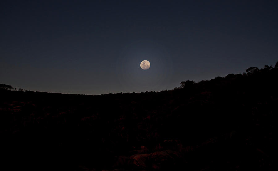 November Moon Photograph by Miroslava Jurcik