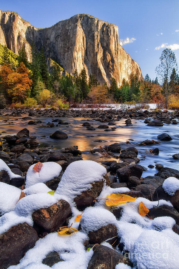 Yosemite National Park Photograph - November Morning by Anthony Michael Bonafede