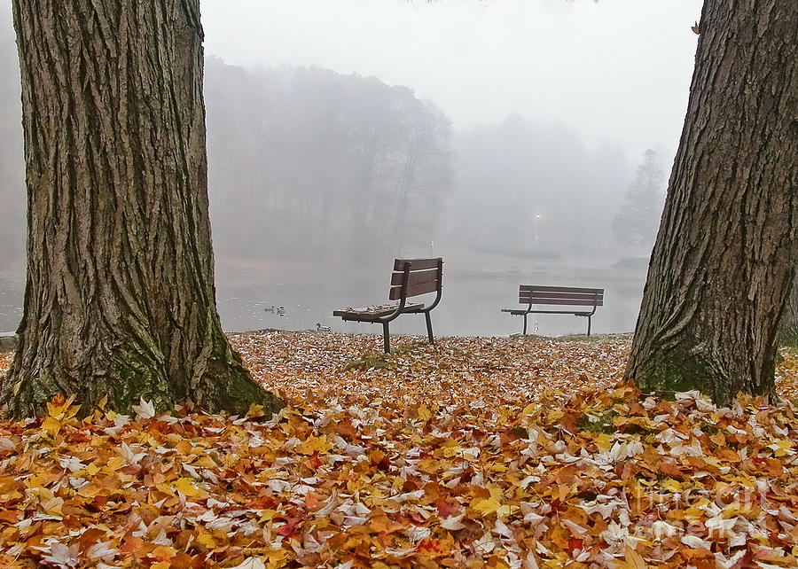 Fall Photograph - November Morning by Edward Sobuta