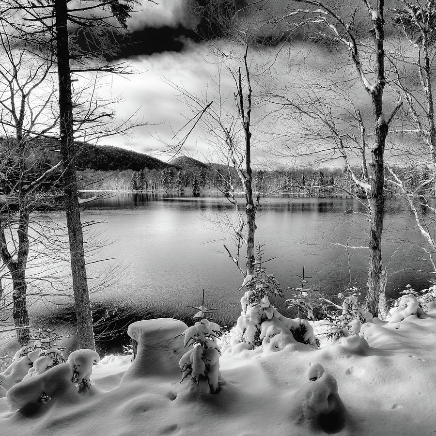 November on West Lake Photograph by David Patterson
