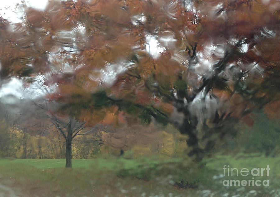 November Rain Photograph by Clay Cofer - Fine Art America