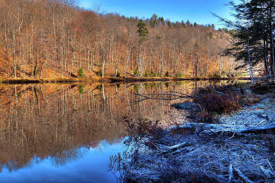 November Reflections - Bald Mountain Pond Photograph by David Patterson