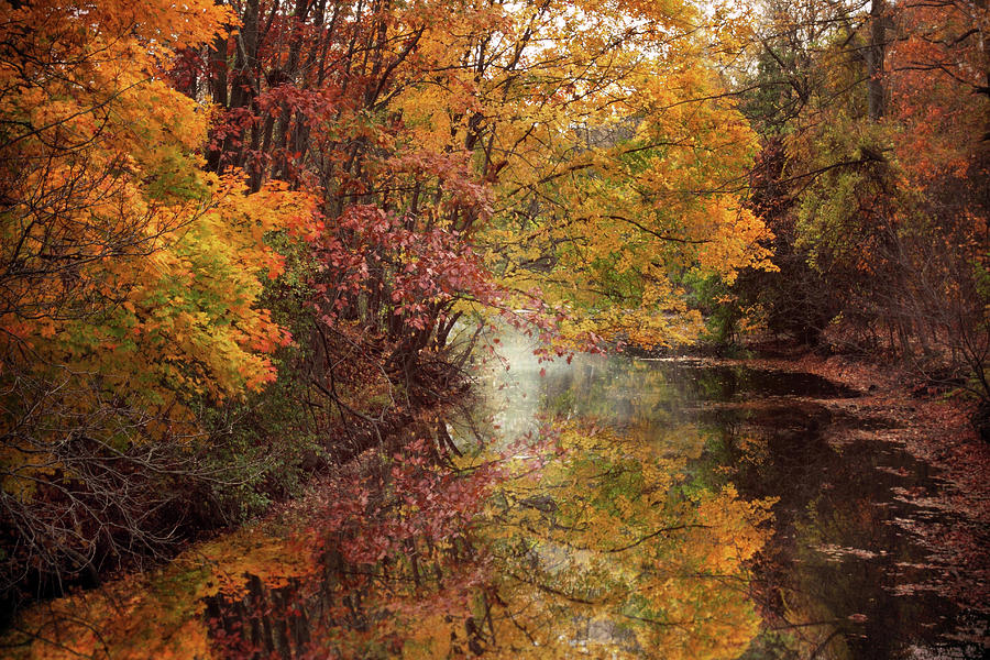 November Reflections Photograph by Jessica Jenney