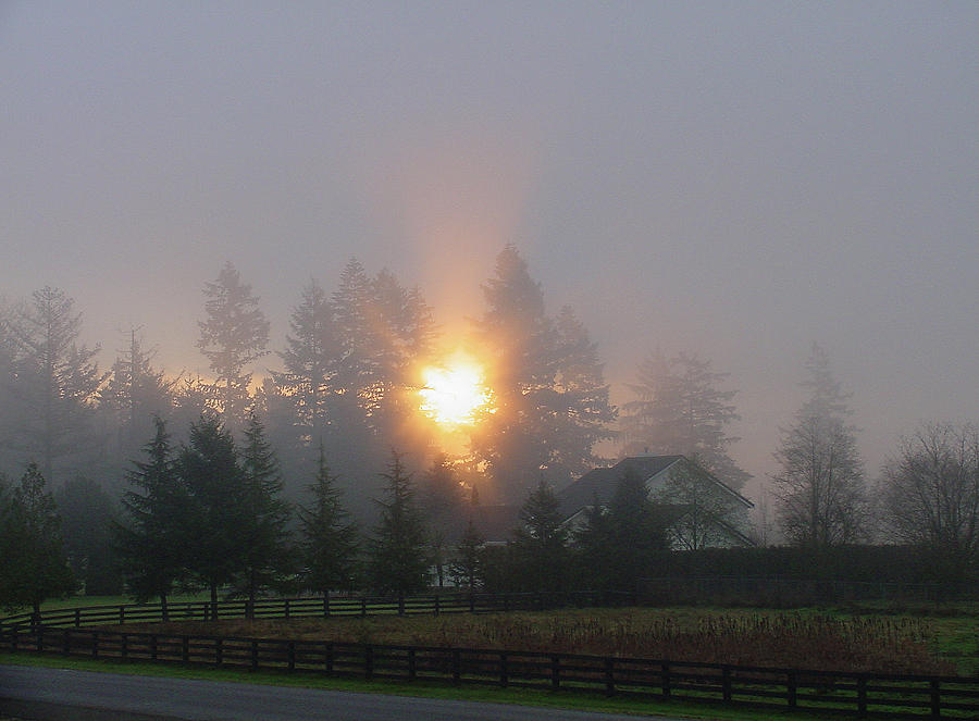 November Sunrise-3 Photograph by Shirley Heyn