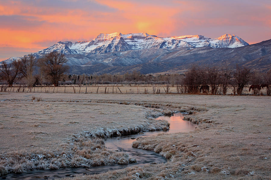 Mountain Photograph - November sunrise in the North Fields. by Wasatch Light