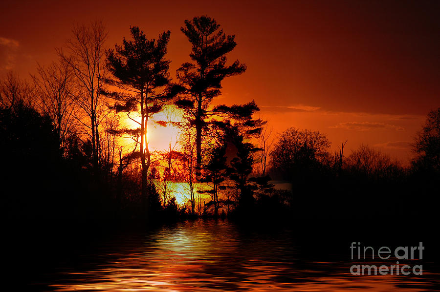 November Sunset Photograph by Elaine Hunter