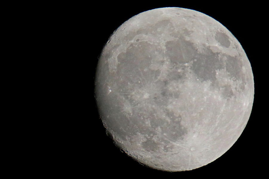 November Super Moon Photograph by Brook Burling