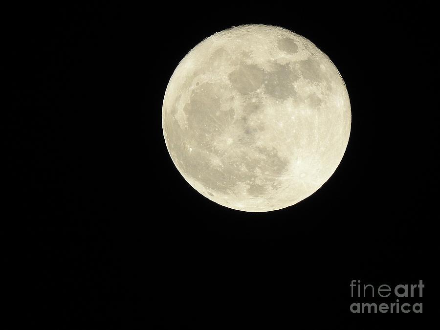 November Super Moon Photograph by Ella Kaye Dickey