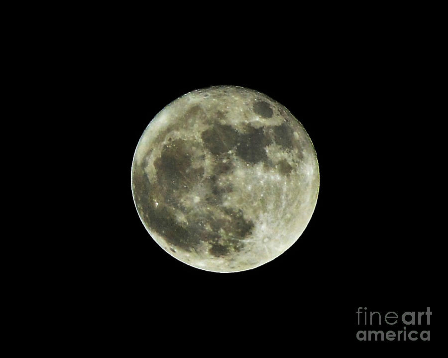Moon Photograph - November Supermoon 2016 by Kelly Nowak