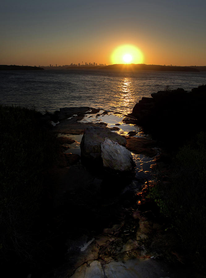 Sunset Photograph - November Sydney Sunset by Miroslava Jurcik