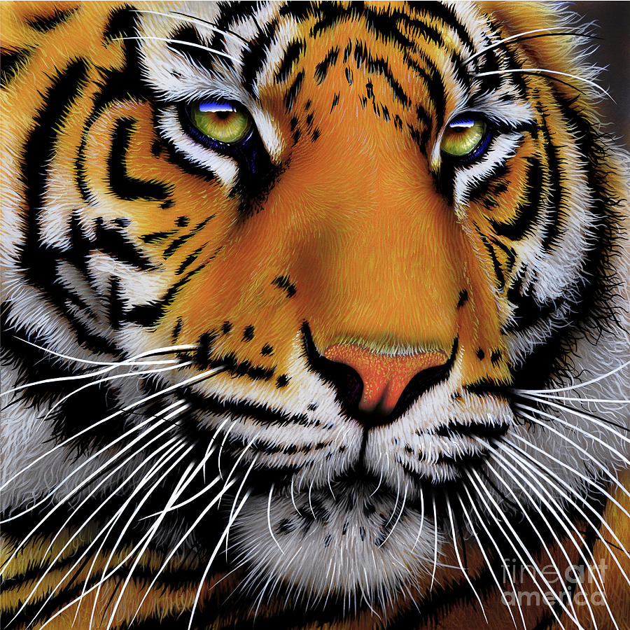 November Tiger Painting by Jurek Zamoyski