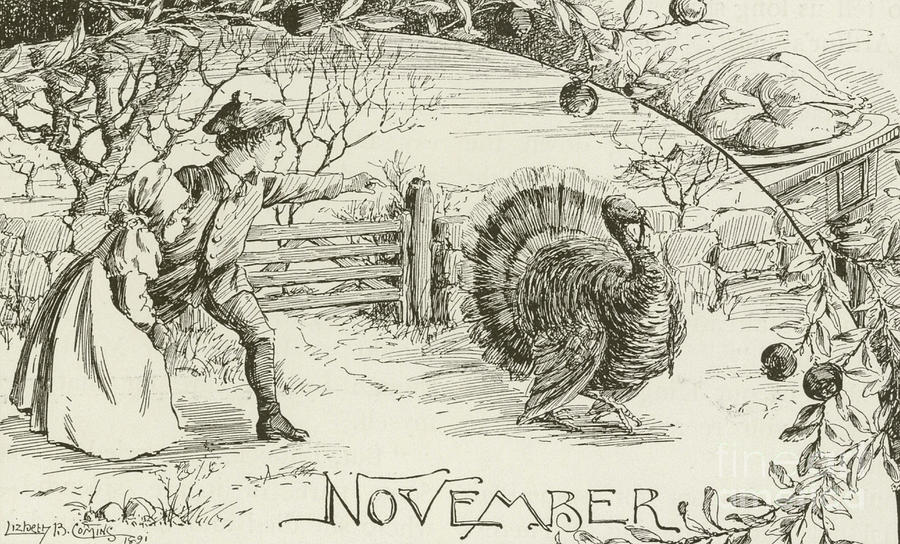 November   Vintage Thanksgiving Card Drawing by American School