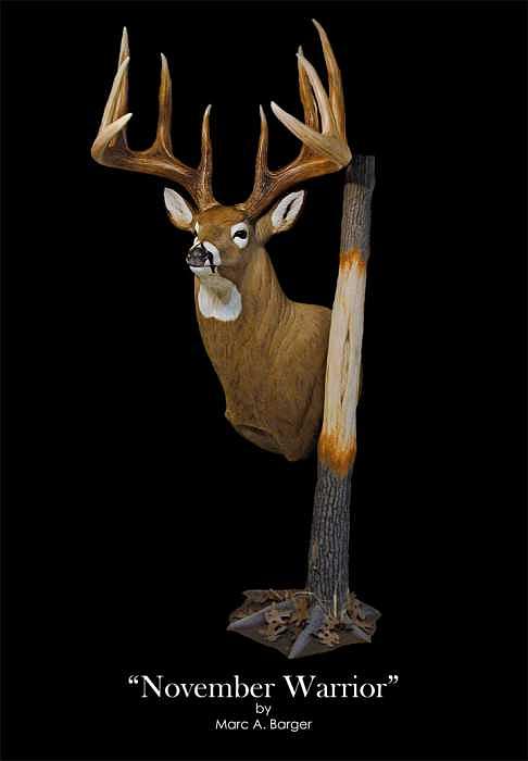 Whitetail Sculpture - November Warrior by Marc Barger Whitetail Sculpture - November Warrior by Marc Barger