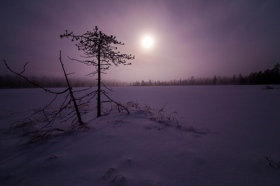 Pasvik Photograph - Novembernatt by Roy Haakon Friskilae