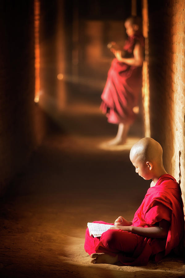 Novice monk reading book Photograph by Anek Suwannaphoom