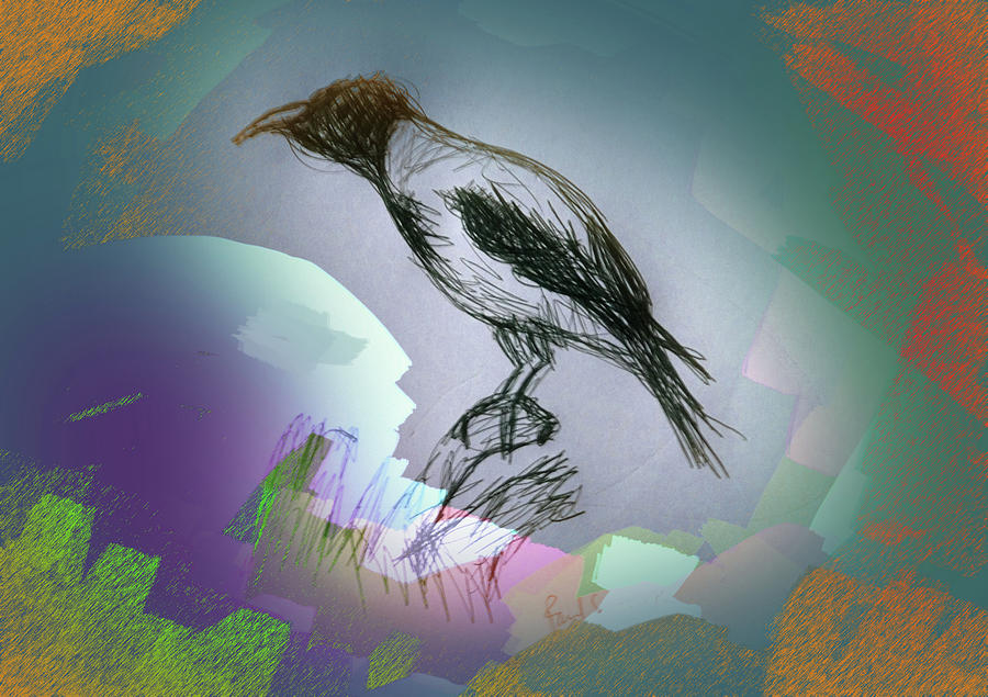 Crow Drawing - Novomundo  by Paul Sutcliffe