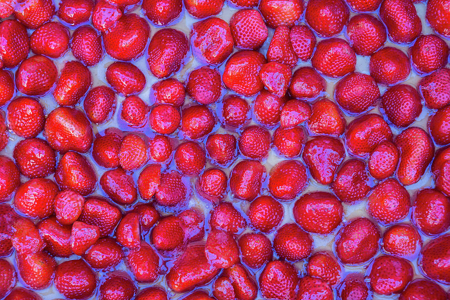 Now thats a Strawberry Tart Photograph by Scott Campbell