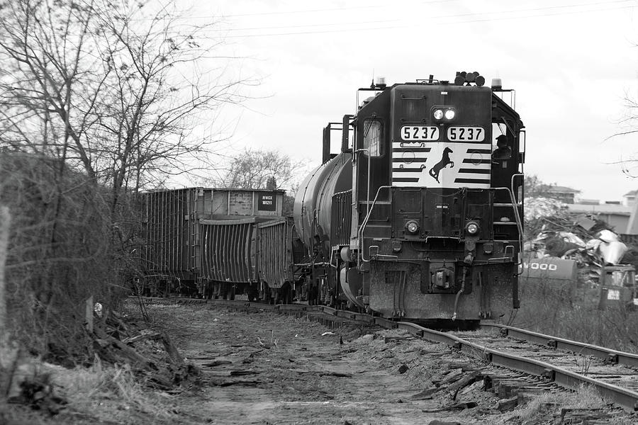 NS #5237 in BW Photograph by Joseph C Hinson