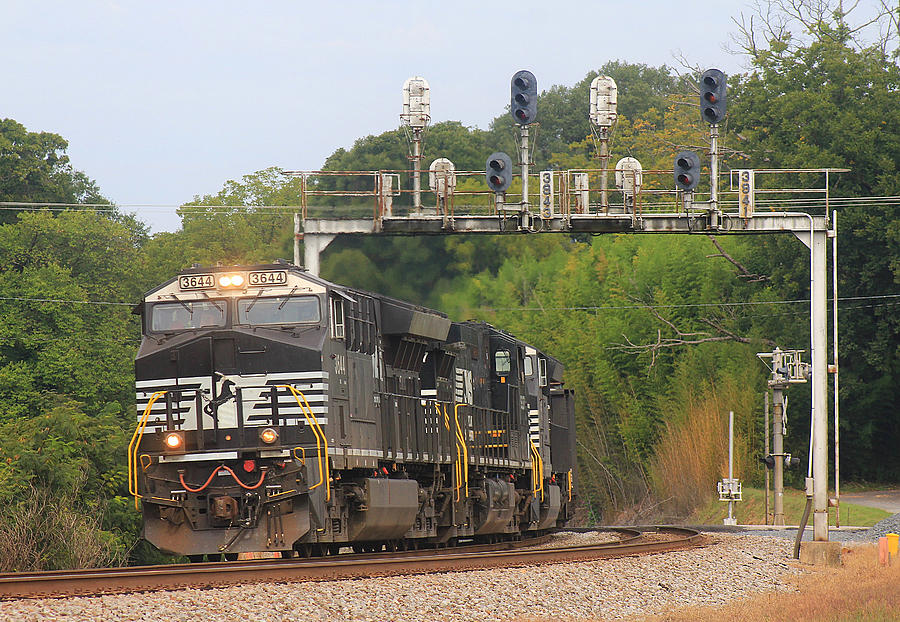Ns Train Under Lowell Signals Photograph