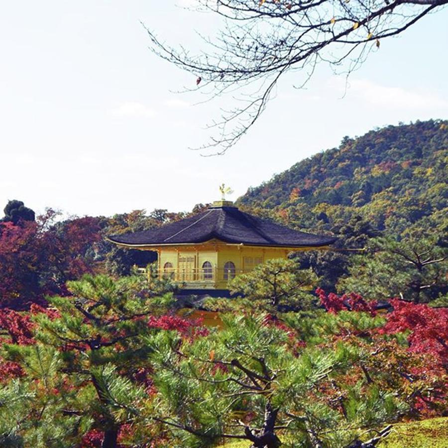 Japan Photograph - .
surrounded By Autumn by Daisuke Takakura