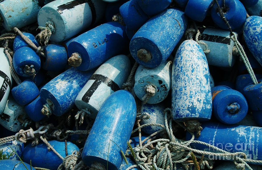 nu-blue-buoys-photograph-by-georgia-sheron