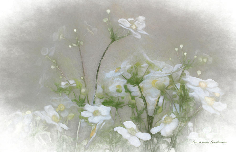 Nuage blanc by Dominique Guillaume Nuage blanc by Dominique Guillaume